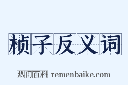 桢子反义词是什么意思的图片